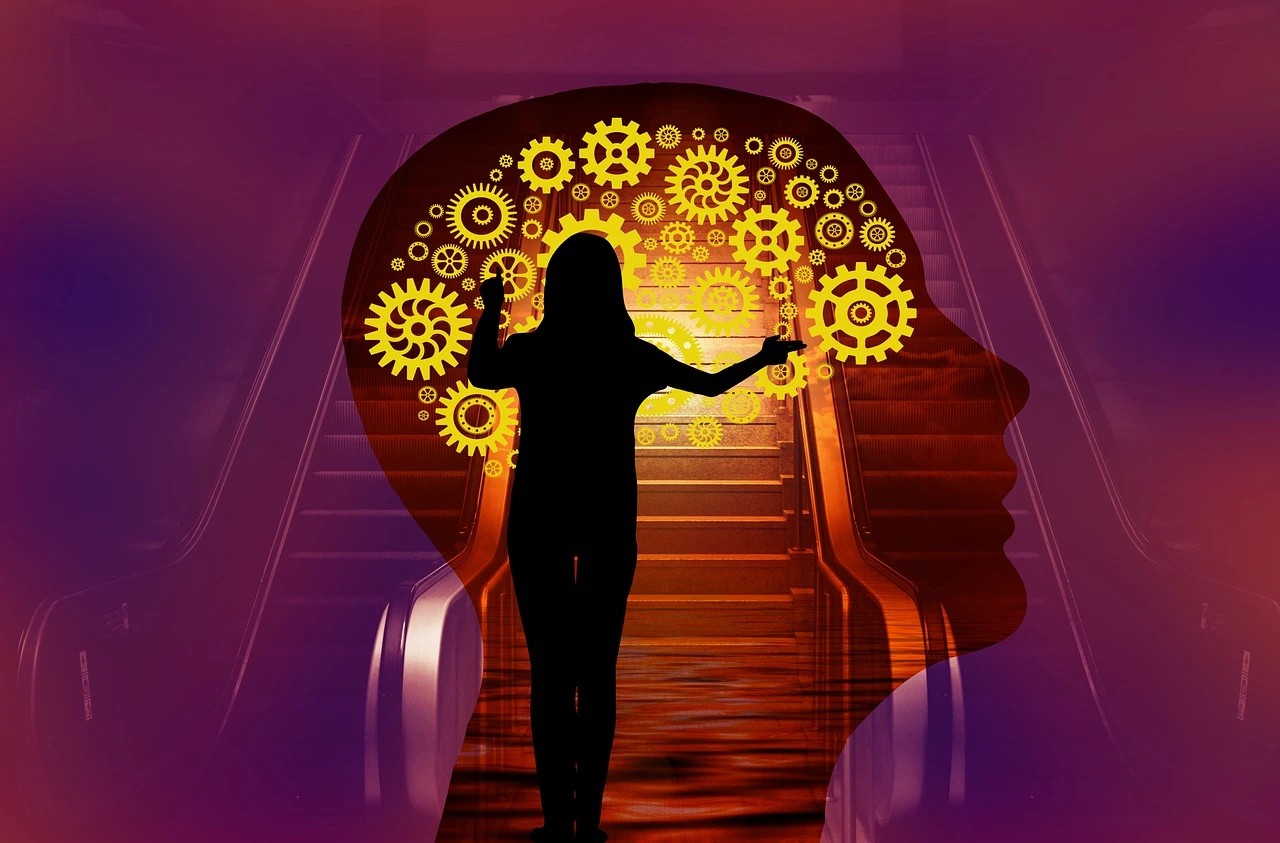 Daina_Marti_A propos_Mon expertise
